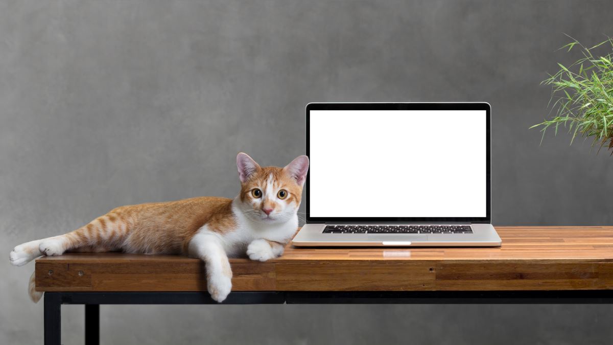 Psihoterapija online - da ili ne?